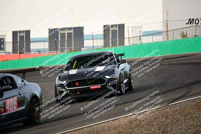 media/Feb-25-2024-Speed Ventures (Sun) [[b9a2a97a4d]]/Mustang Drivers Club/Session 1 (Turns 4 and 5)/